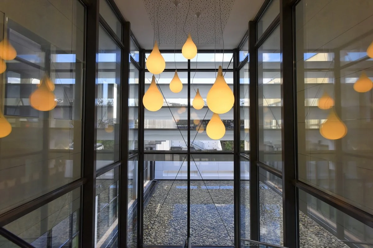 Domaine Sud_janvier 2016_023.jpg