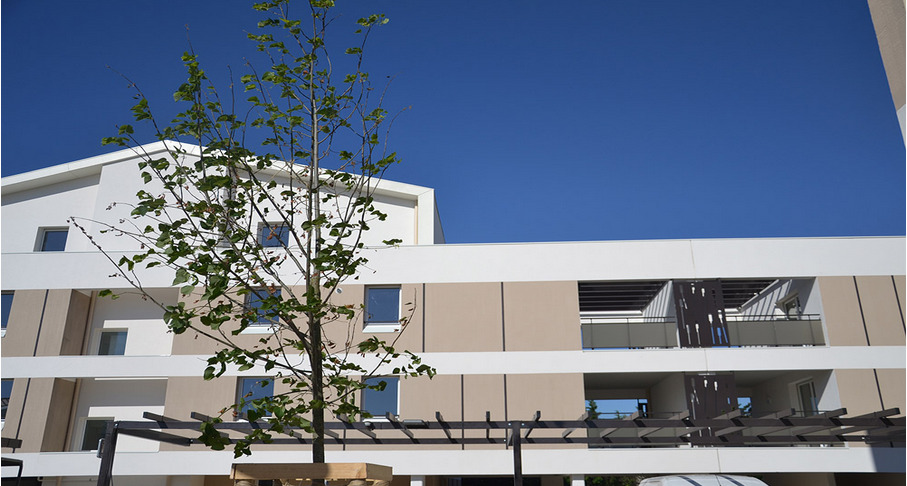 Capture d’écran 2024-07-17 105708.png