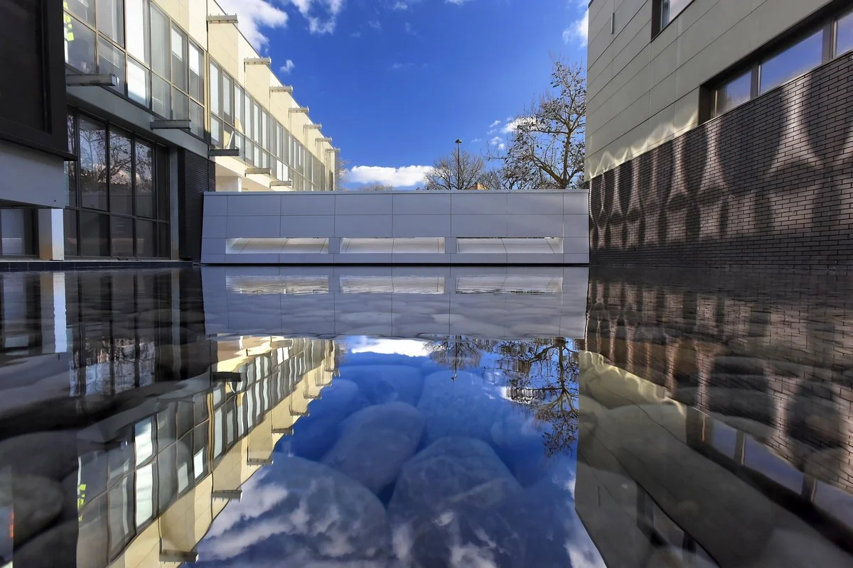 Domaine Sud_janvier 2016_022.jpg