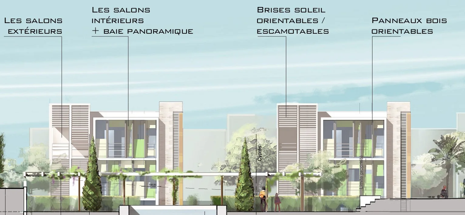 Coupe sur parc recadré.jpg