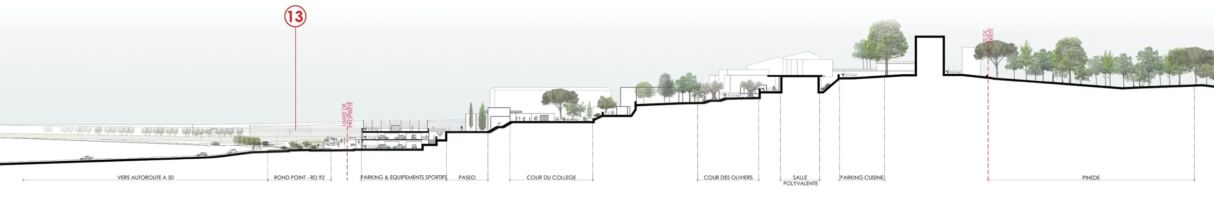 COUPE PAYSAGERE AA.jpg