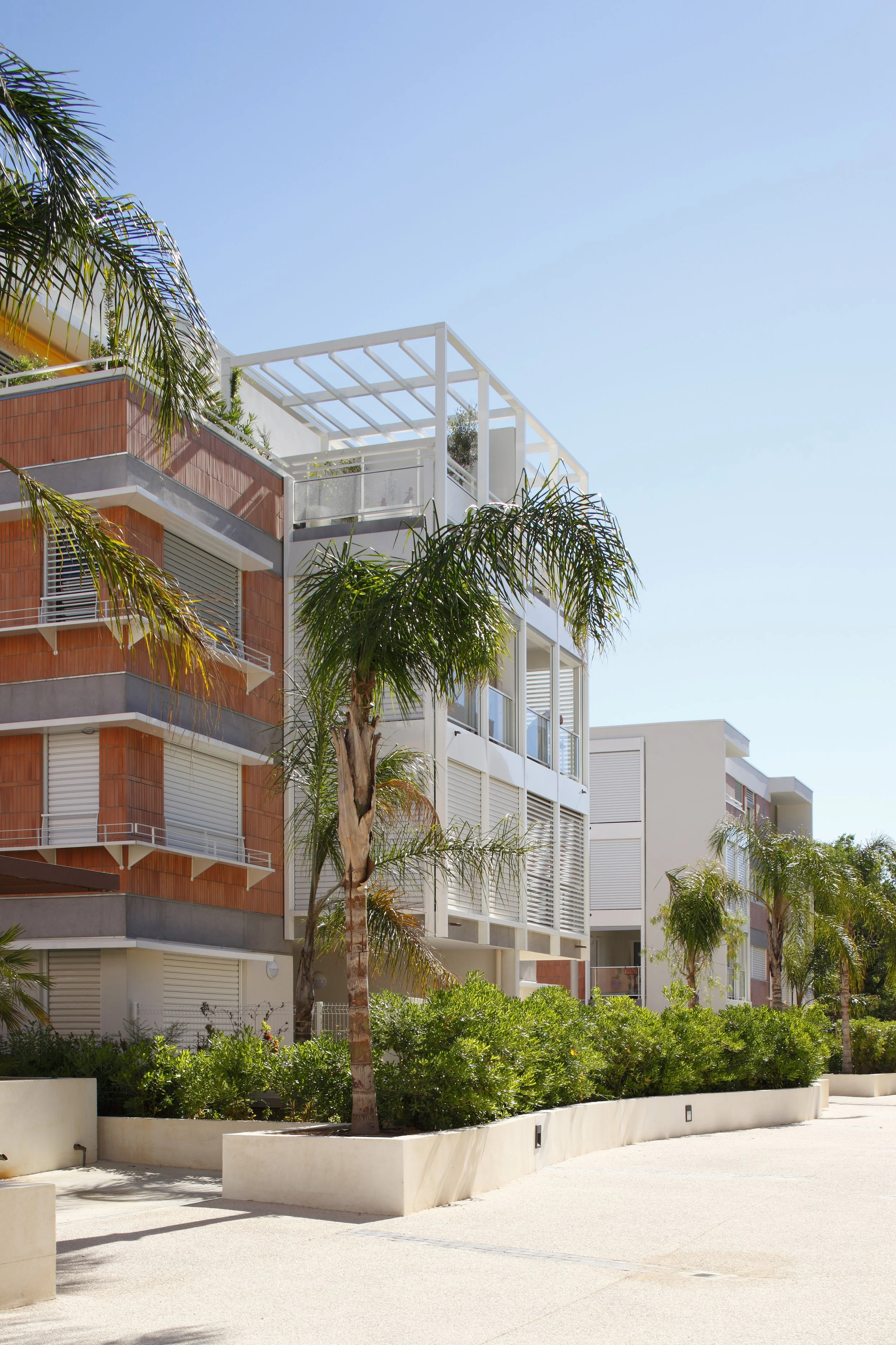 Photo S Demailly6571.jpg