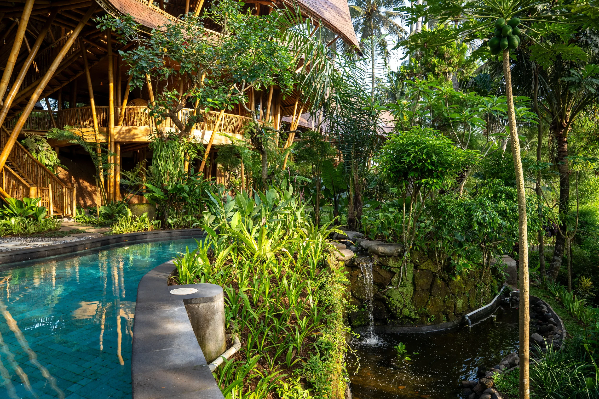 Lush tropical garden with a small waterfall flowing into a pond, surrounded by dense green plants and trees, with a bamboo structure in the background.