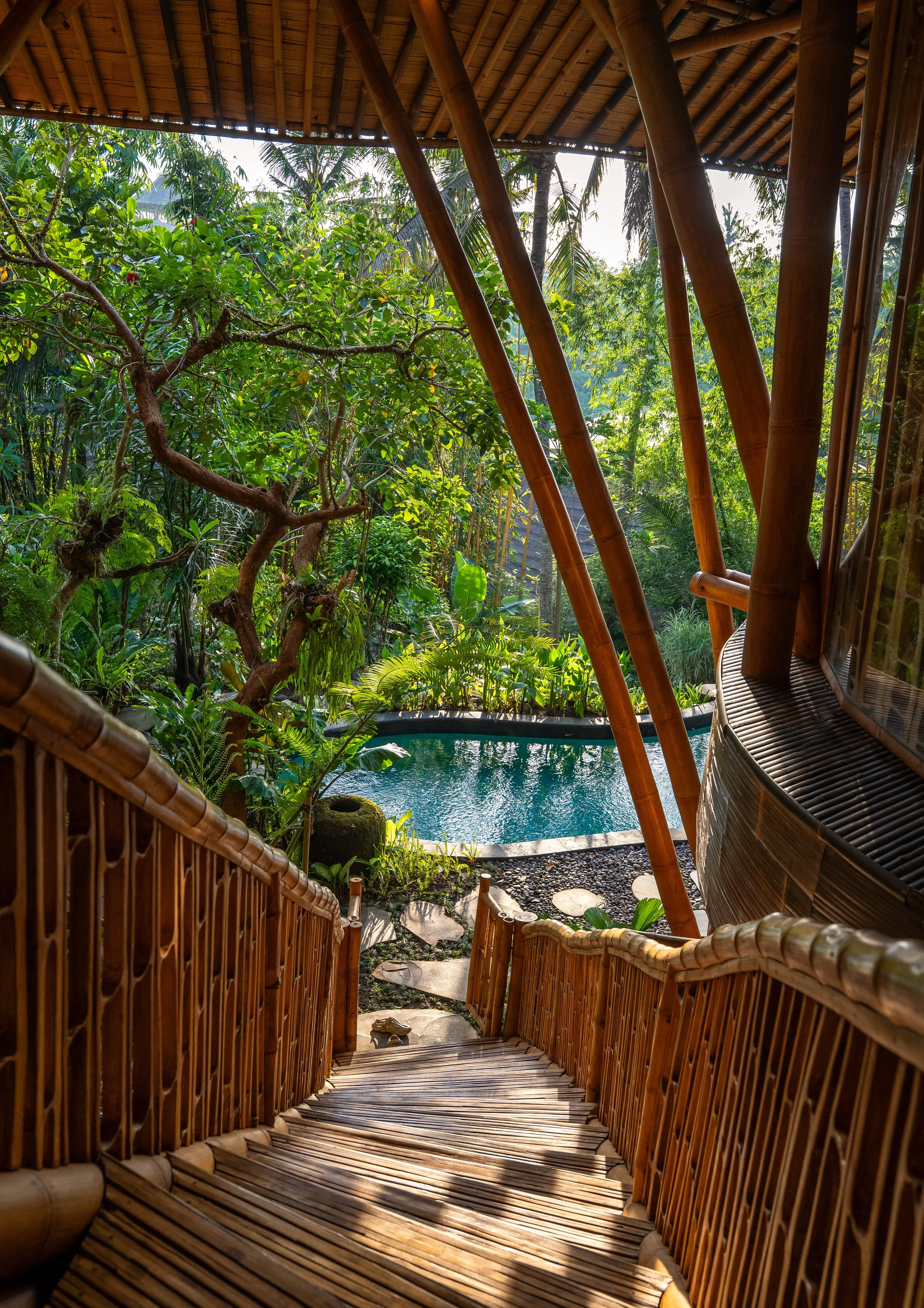 Wooden staircase leading down to a lush tropical garden with a small pool, surrounded by dense green foliage and tall trees.