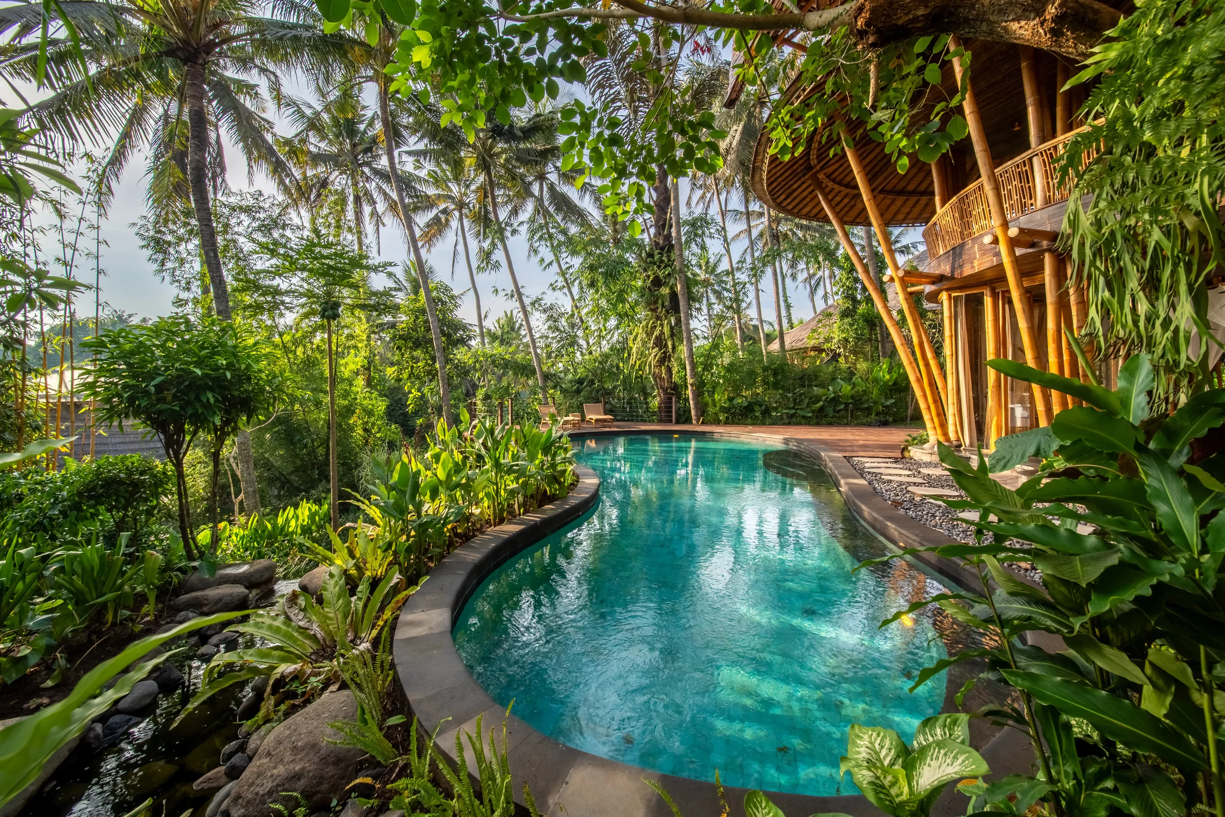 A tropical scene with a curvy swimming pool surrounded by lush green plants and tall palm trees. There is a wooden structure with a thatched roof to the right, and outdoor seating in the background. The setting appears to be a resort or vacation villa.