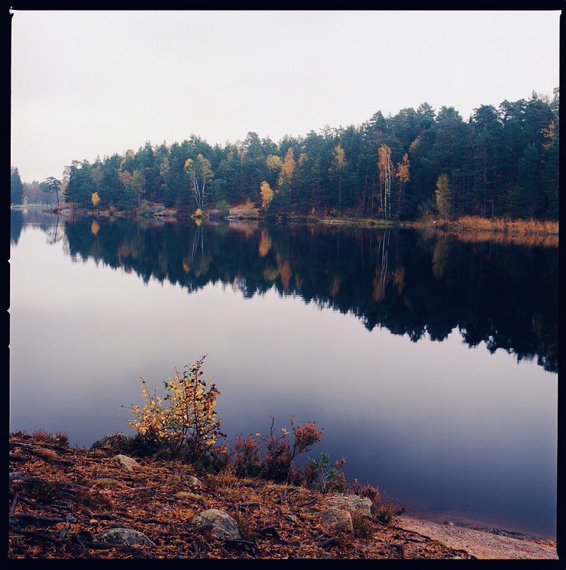 Kodak Ektar 100 120 Sample Photos (4).jpg