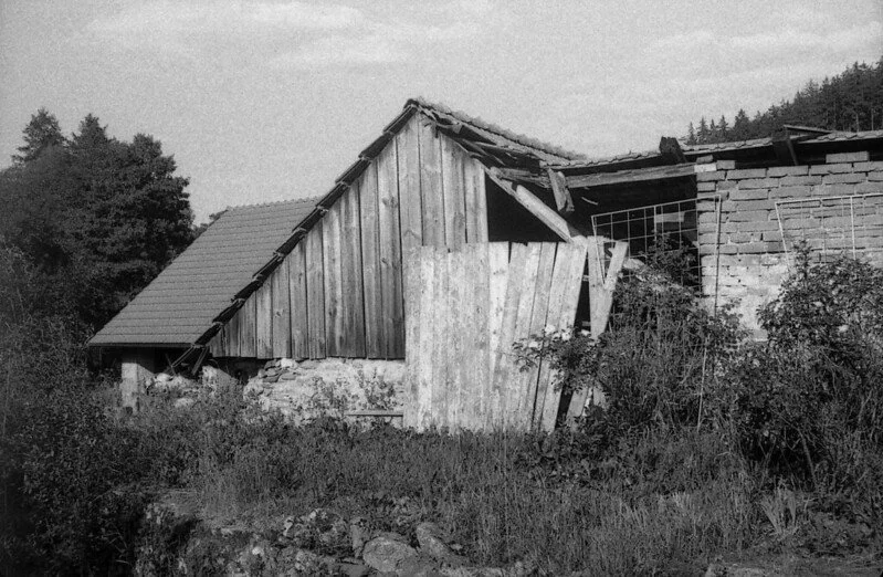 Fomapan 400 Sample Photo (5).jpg
