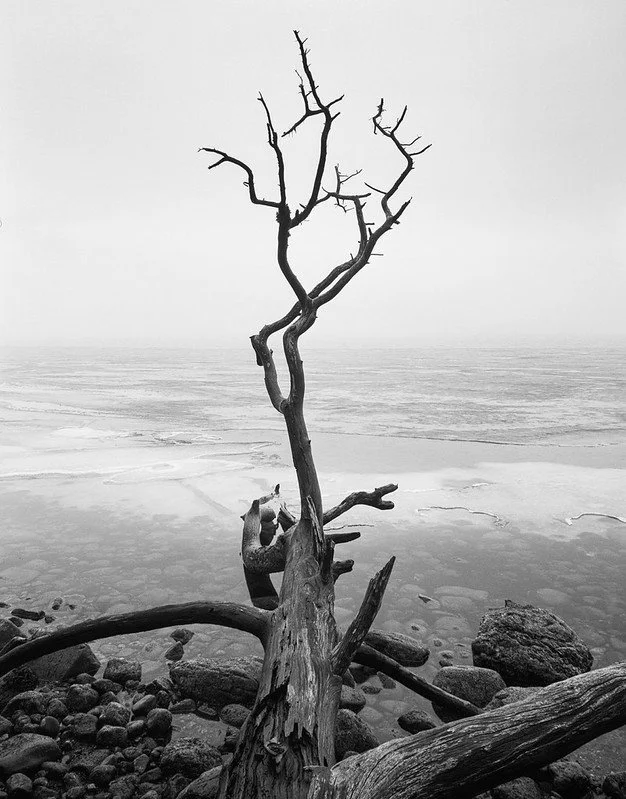 Ilford FP4+ Sample Image (6).jpg