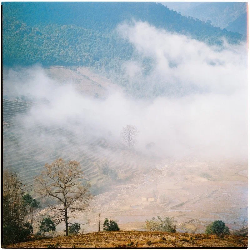 Best Film For Landscape Photography in 2026