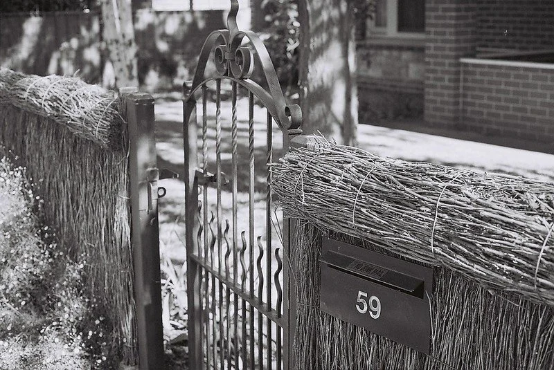 Ilford XP2 Super Sample Photo (4).jpg