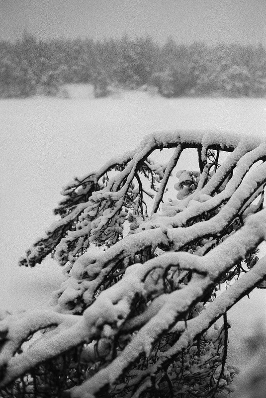 HP5+ Sample Photo (14).jpg