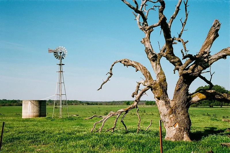 Kodak Ektar 100 Sample Photos (15).jpg