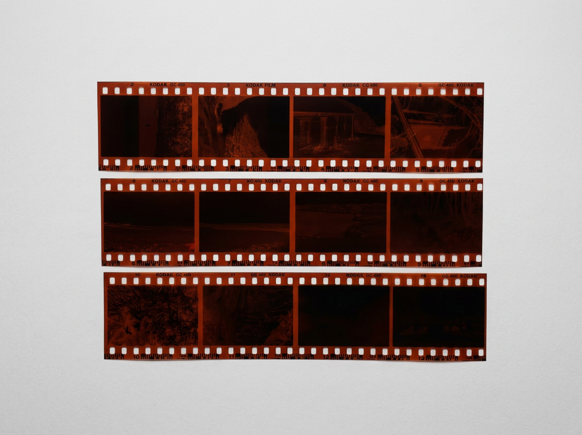 Colour Film Developing (C41) - 35mm