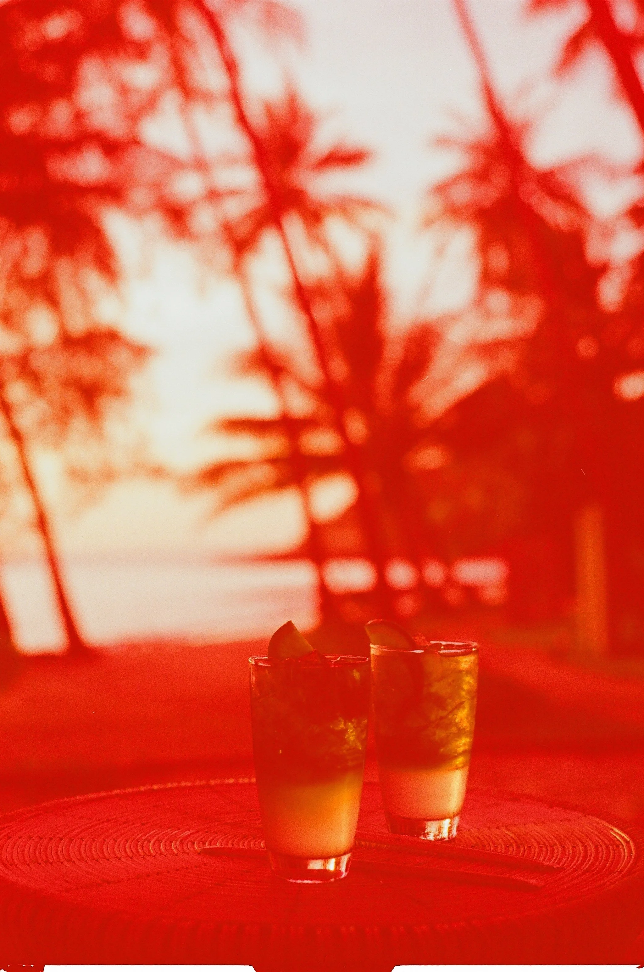 02190031.JPG