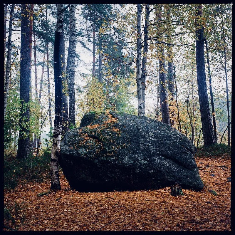 Kodak Ektar 100 120 Sample Photos (6).jpg