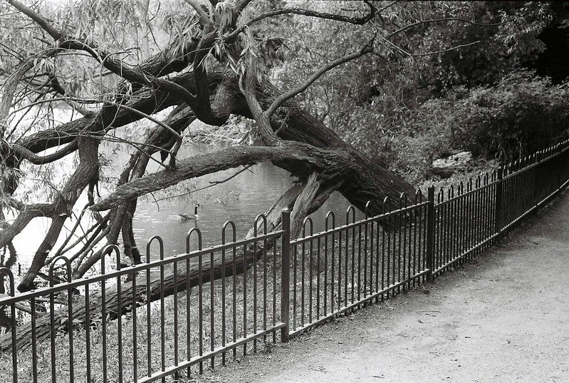 50339117653_34cde70549_c (1).jpg