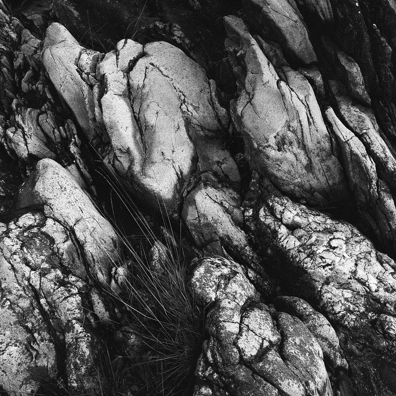 Ilford FP4+ 120 Sample Photo (1).jpg