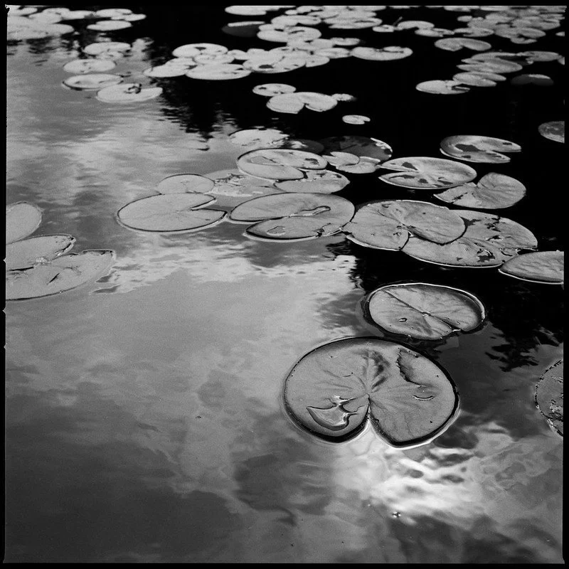 HP5+ Sample Photo (28).jpg