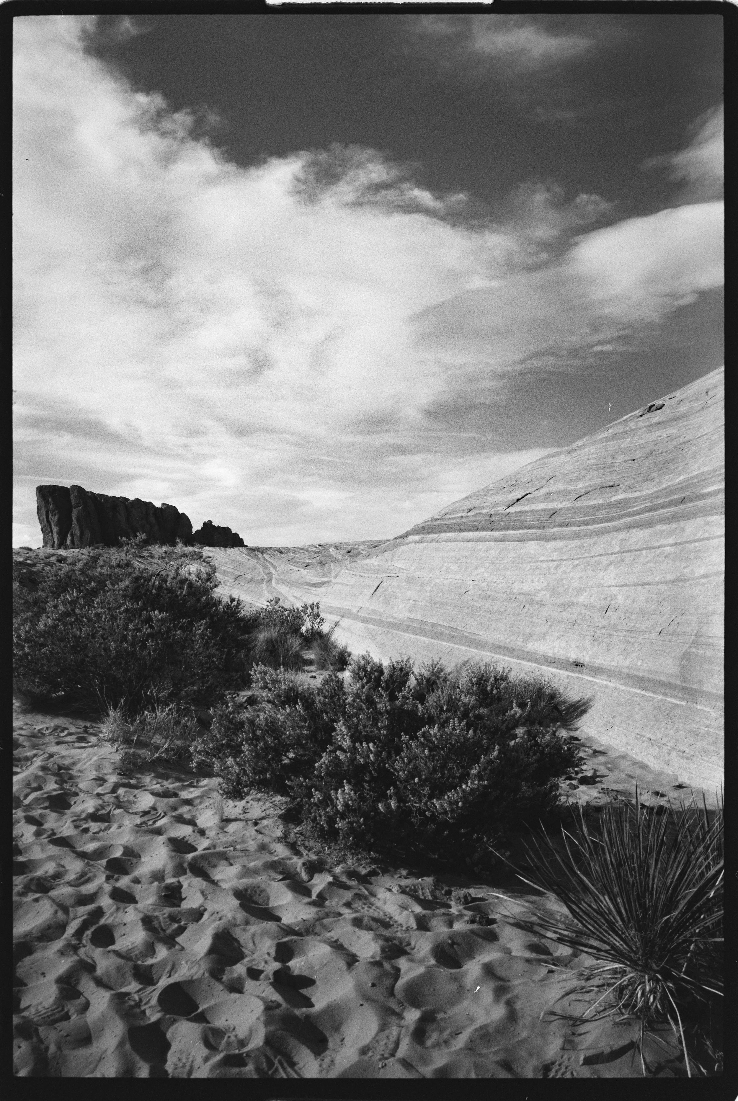 OptiMono100_35mm_Sample Image_Traegi-02.jpg