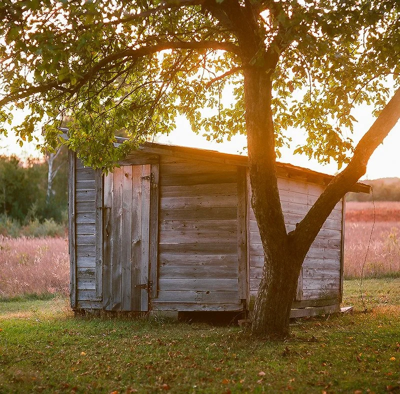Kodak Ektar 100 120 Sample Photos (2).jpg