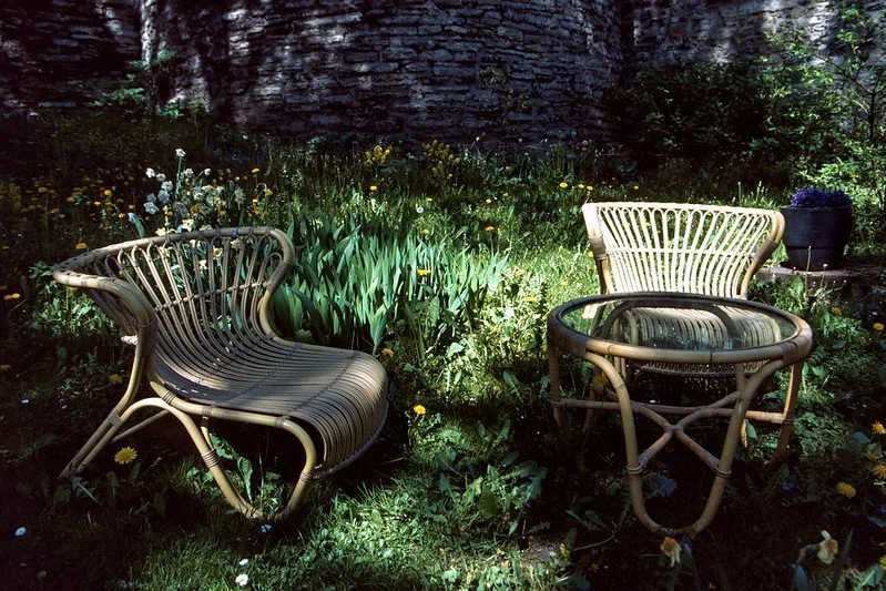 Kodak Ektachrome E100 Sample Photo (6).jpg