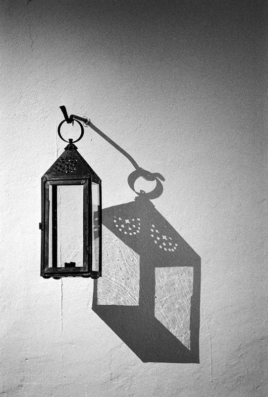 HP5+ Sample Photo (13).jpg