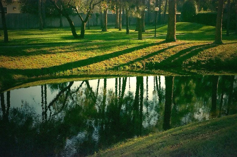 Fujifilm 200 Sample Photo (2).jpg