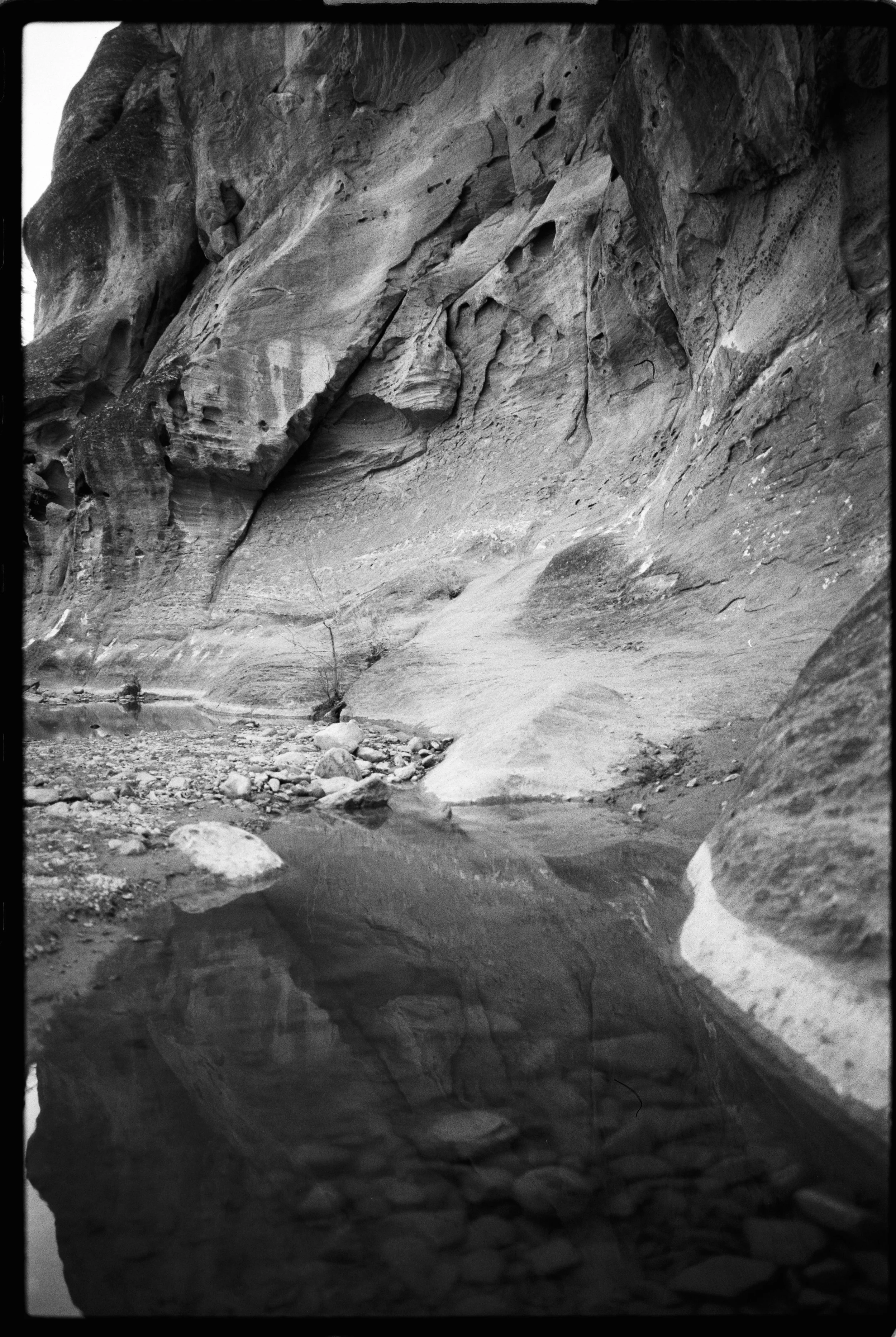 OptiMono100_35mm_Sample Image_Traegi-05.jpg