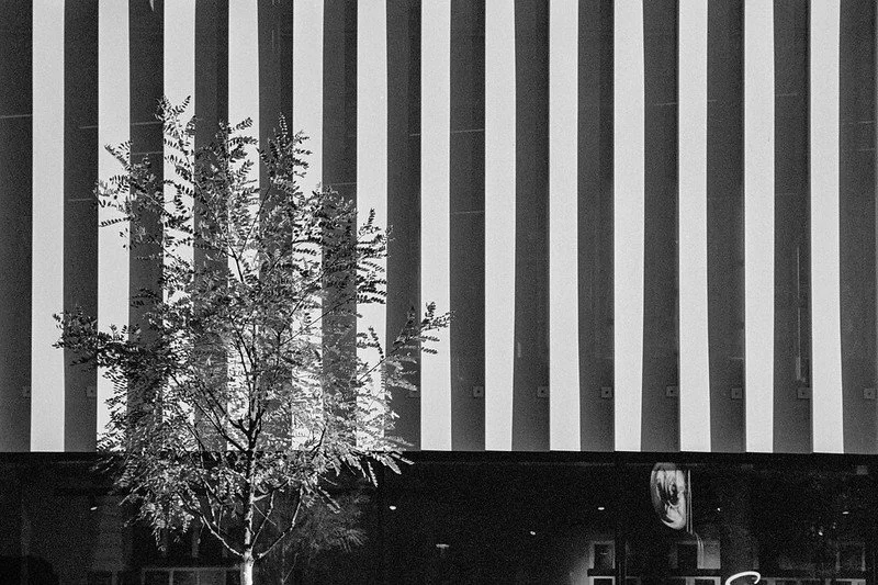 Fompan 200 Sample image (3).jpg