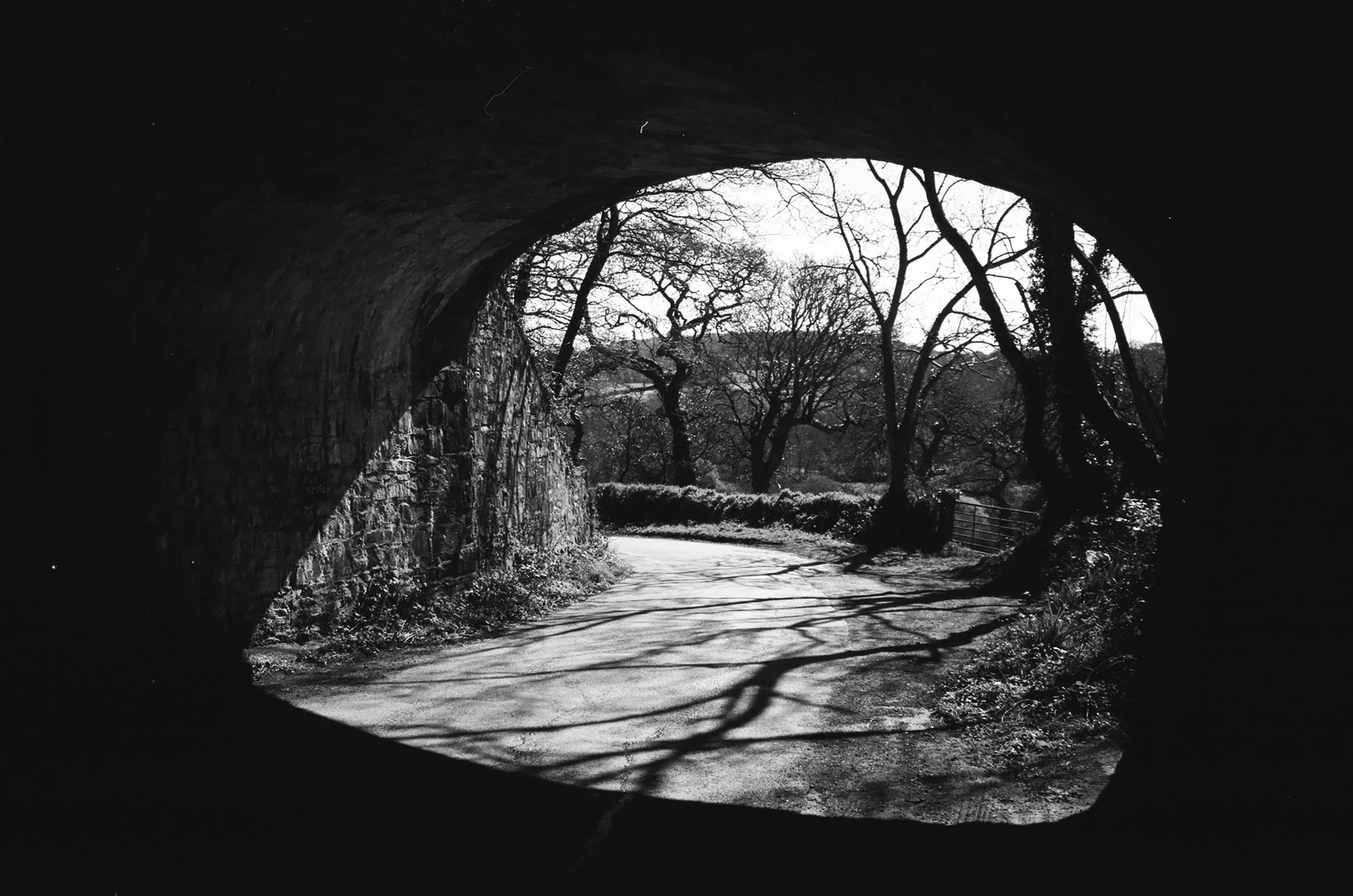 Expired Rollei 25, 35mm