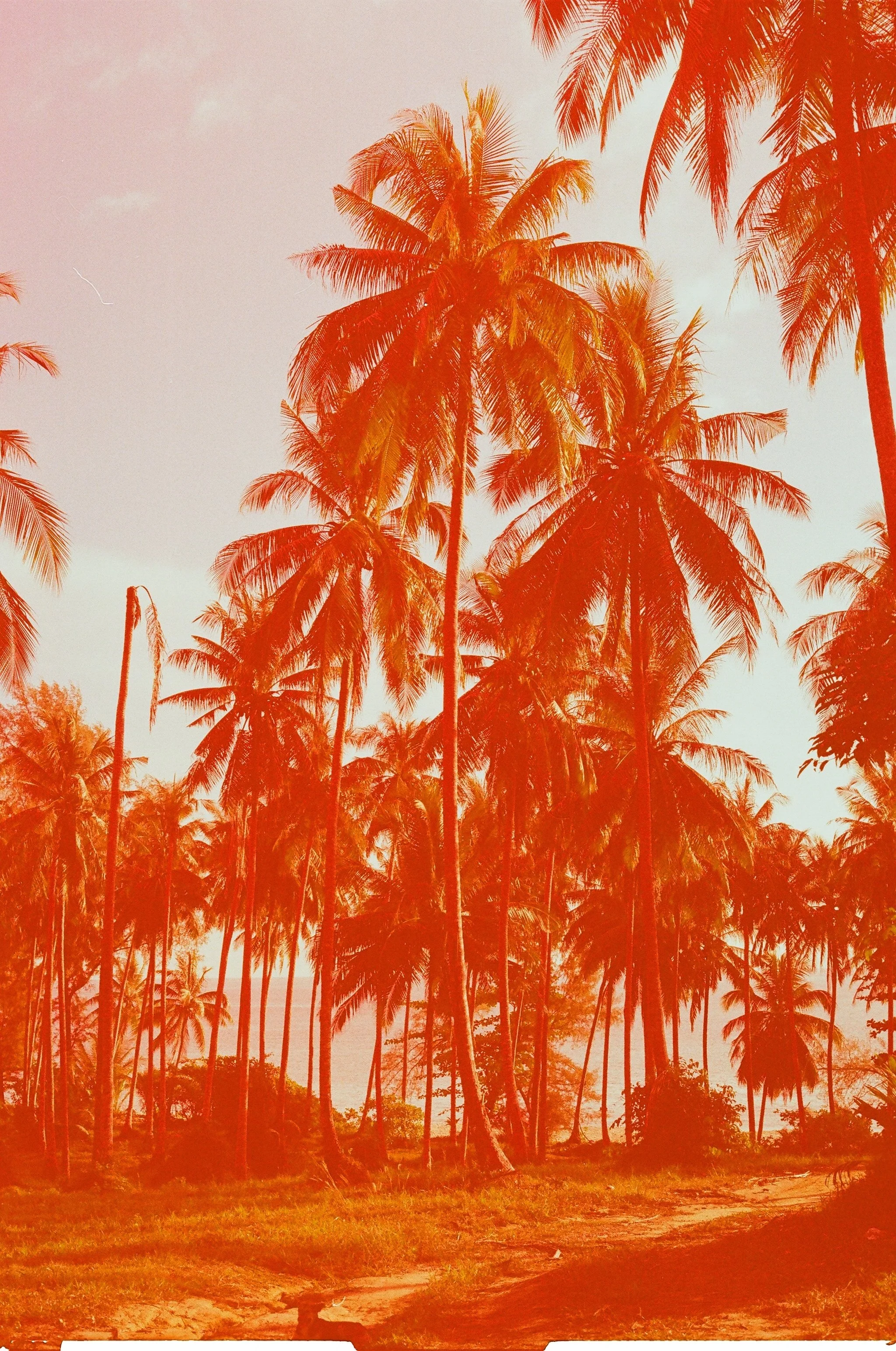 02190036.JPG