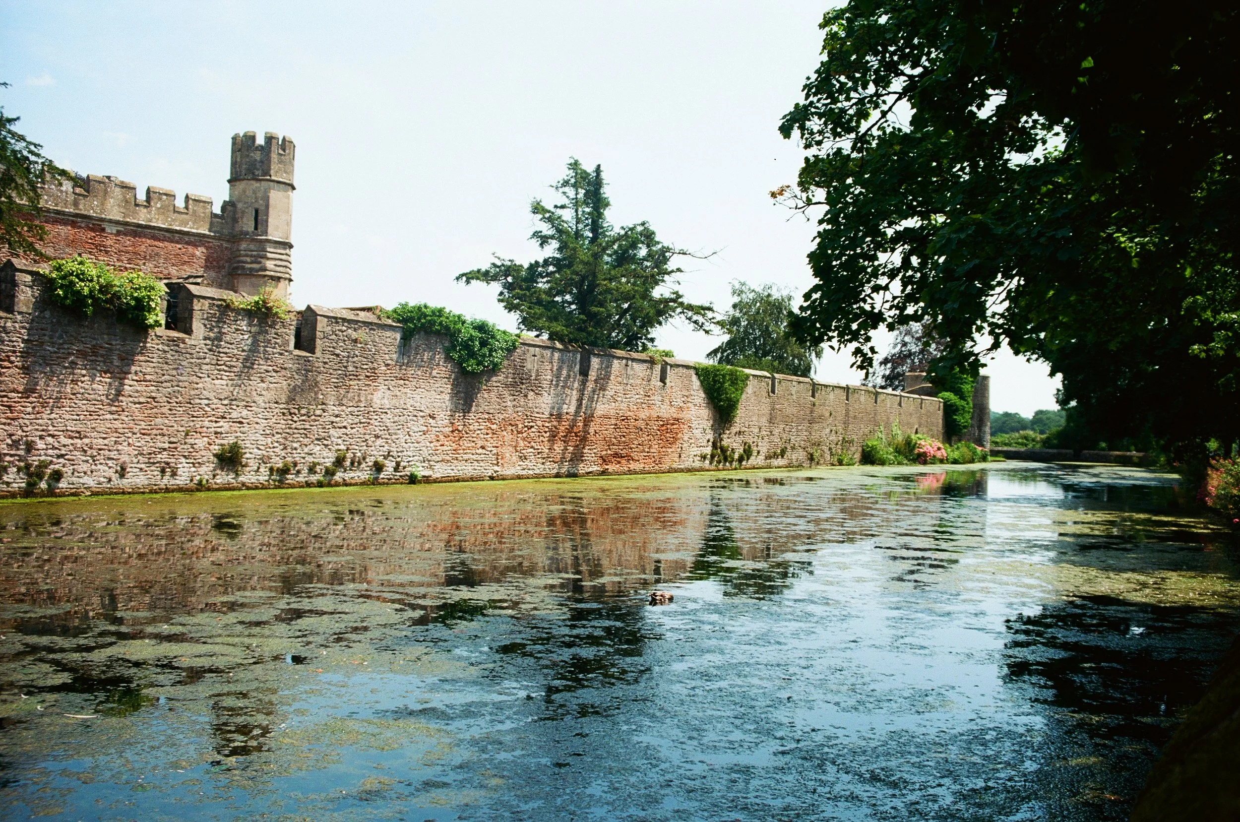 A historic stone castle wall with a tower beside a body of water, surrounded by trees and greenery.