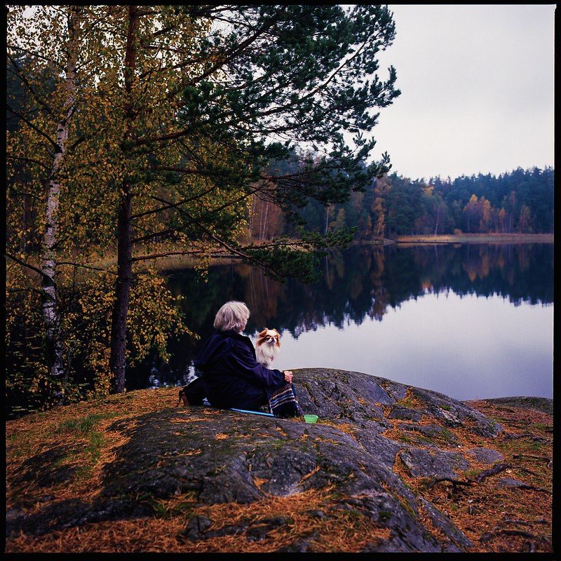 Kodak Ektar 100 120 Sample Photos (3).jpg
