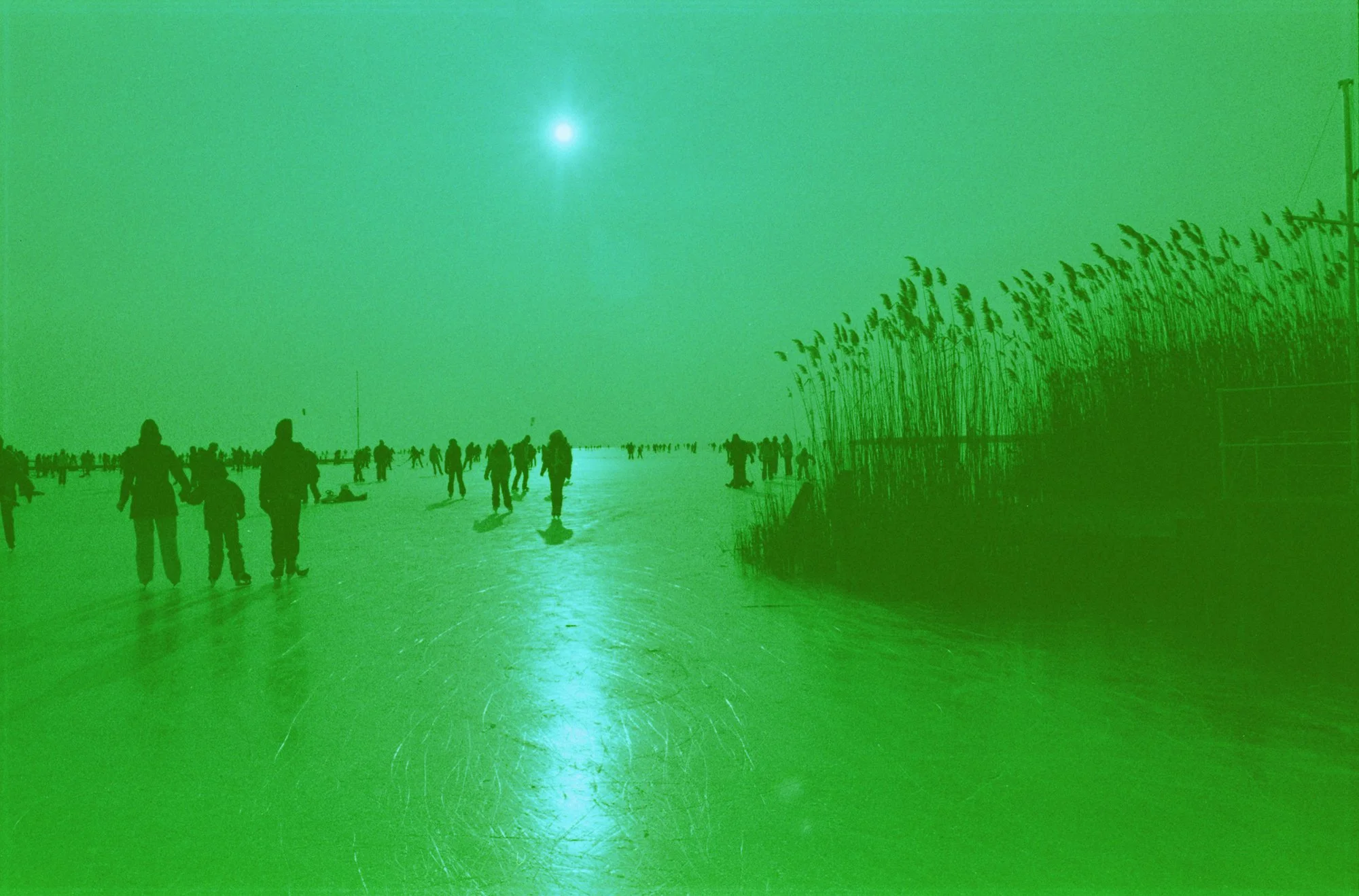 web_460nmNEU002.jpg