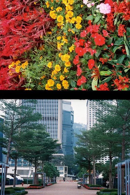Fujifilm 400 Sample Photo (4).jpg