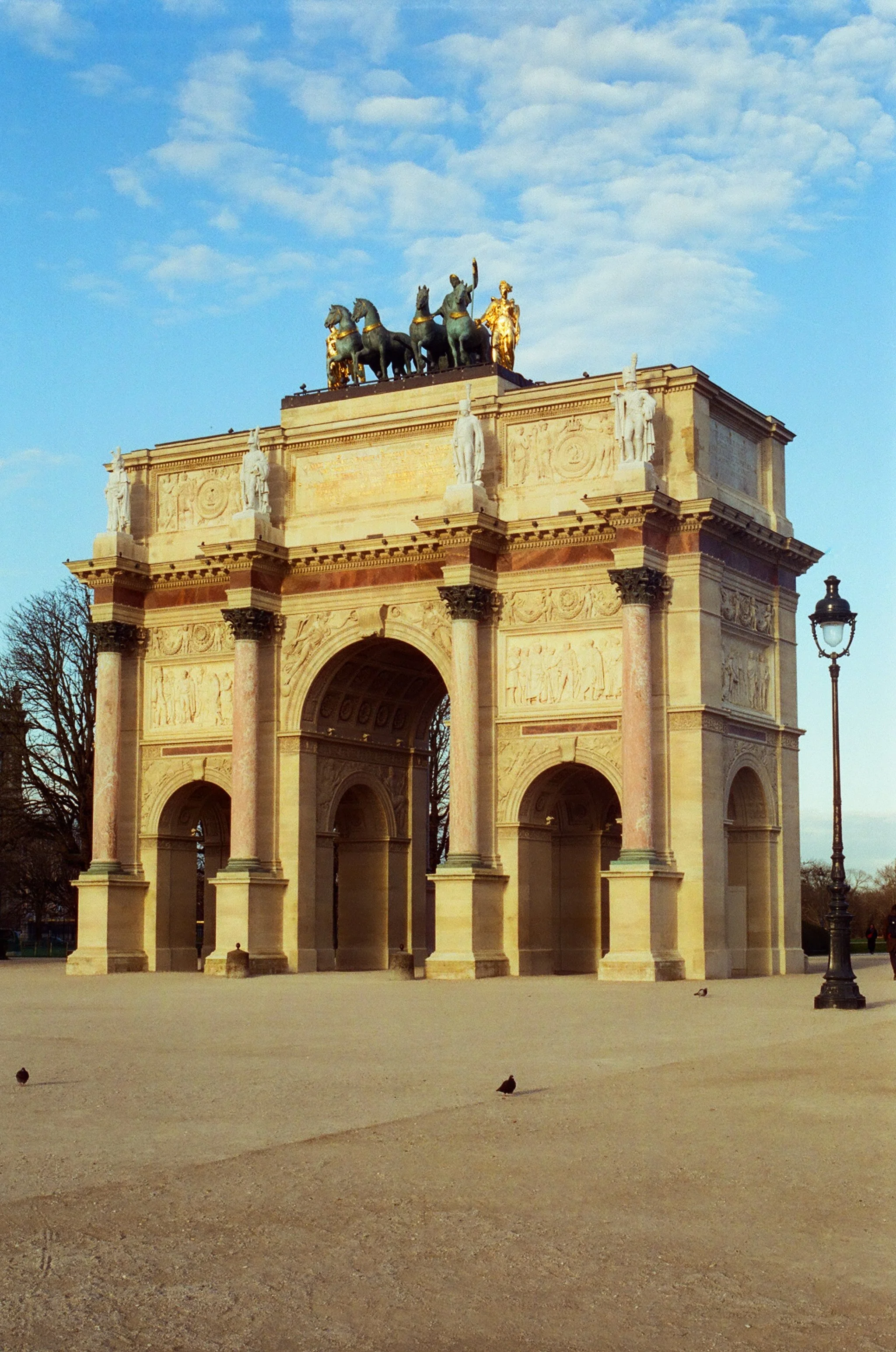 Cinestill 400D (March 26) (3).jpg