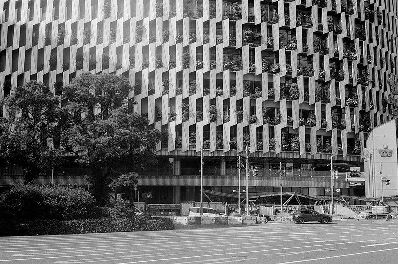 Ilford XP2 Super Sample Photo (1).jpg