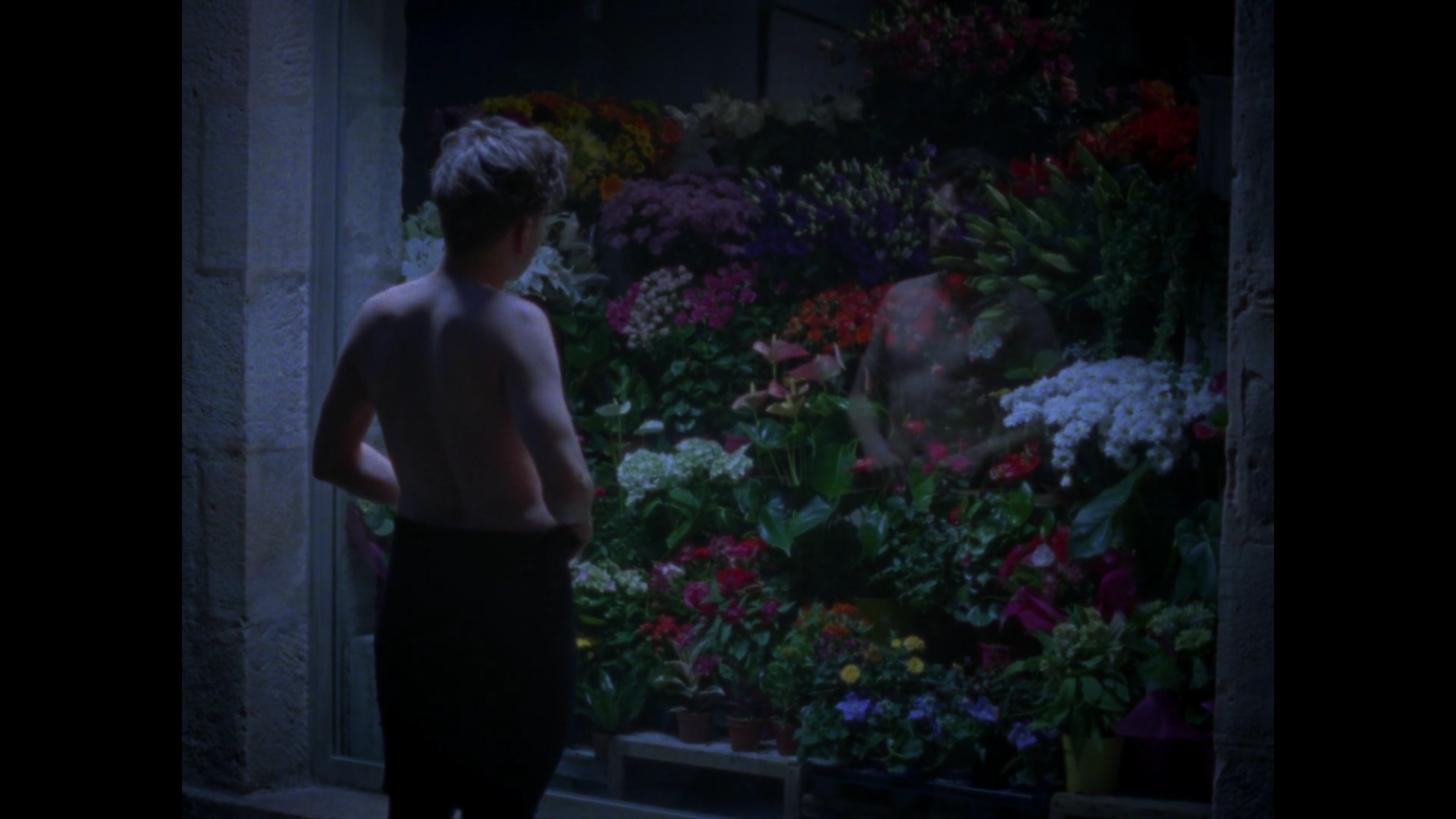 Un enfant sans vêtements devant une vitrine de fleurs, regardant les fleurs colorées à l'intérieur.