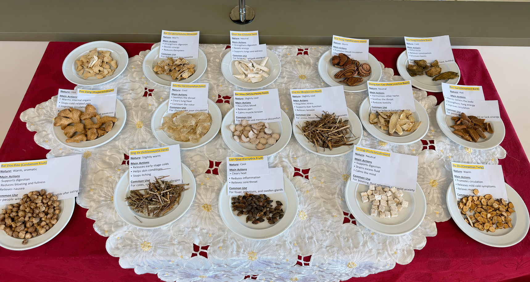 learning-chinese-herbs.png