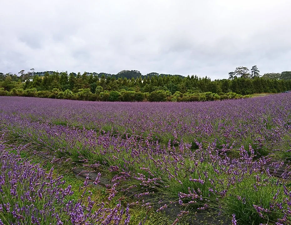 outdoor-7.jpg