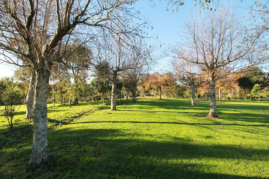 outdoor-4.JPG