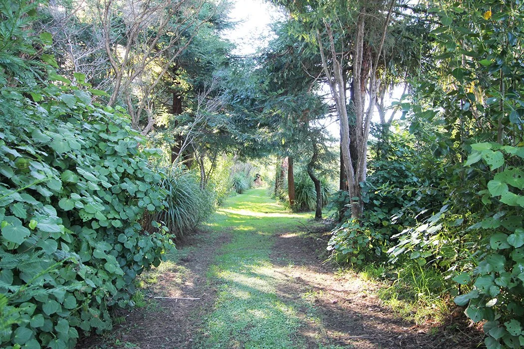 outdoor-8.JPG
