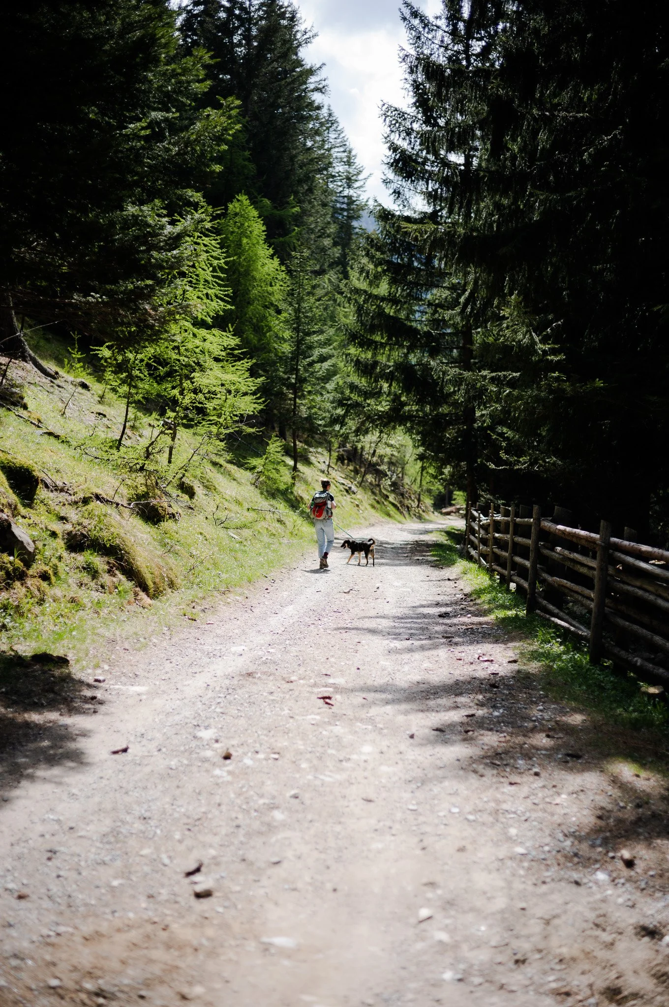 L1002344.jpg