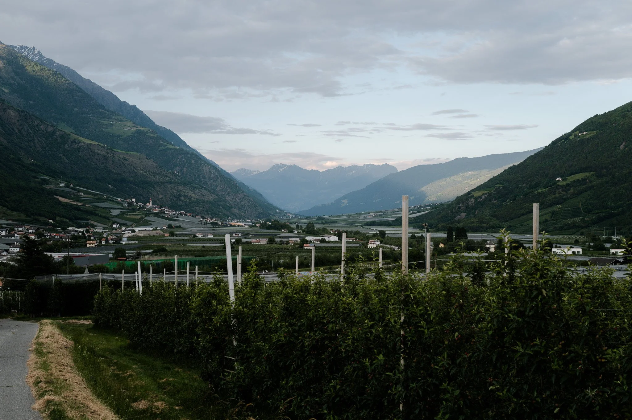 L1009336.jpg