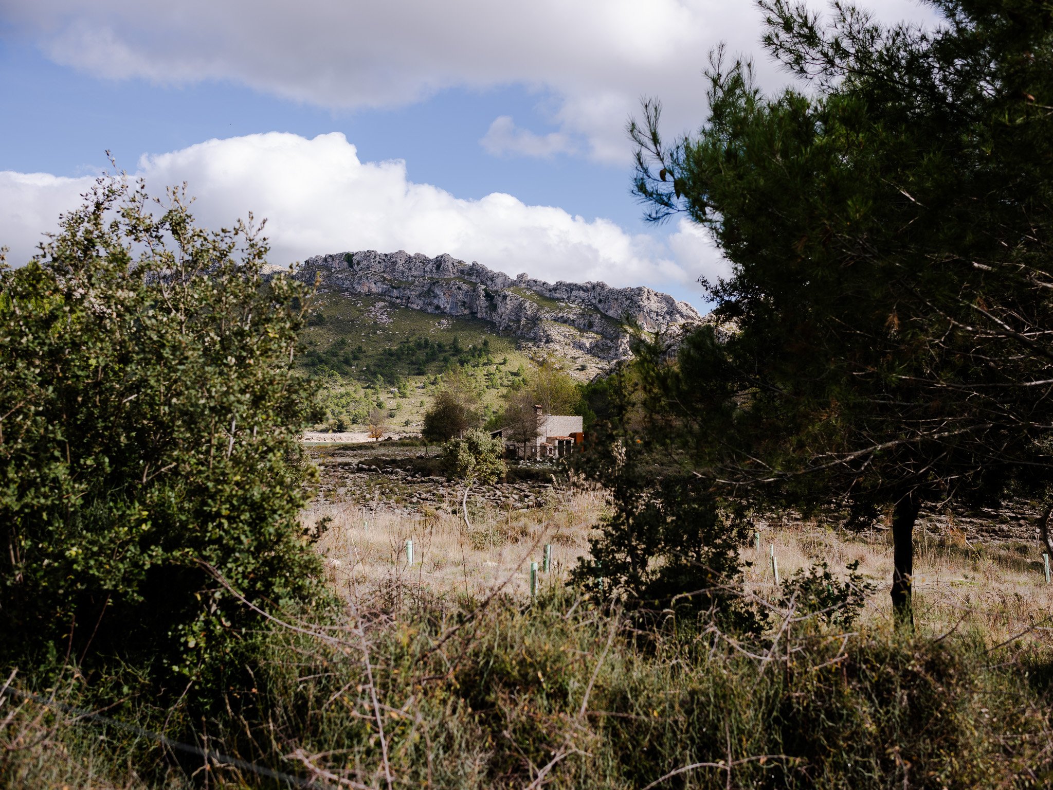 L1008881.jpg