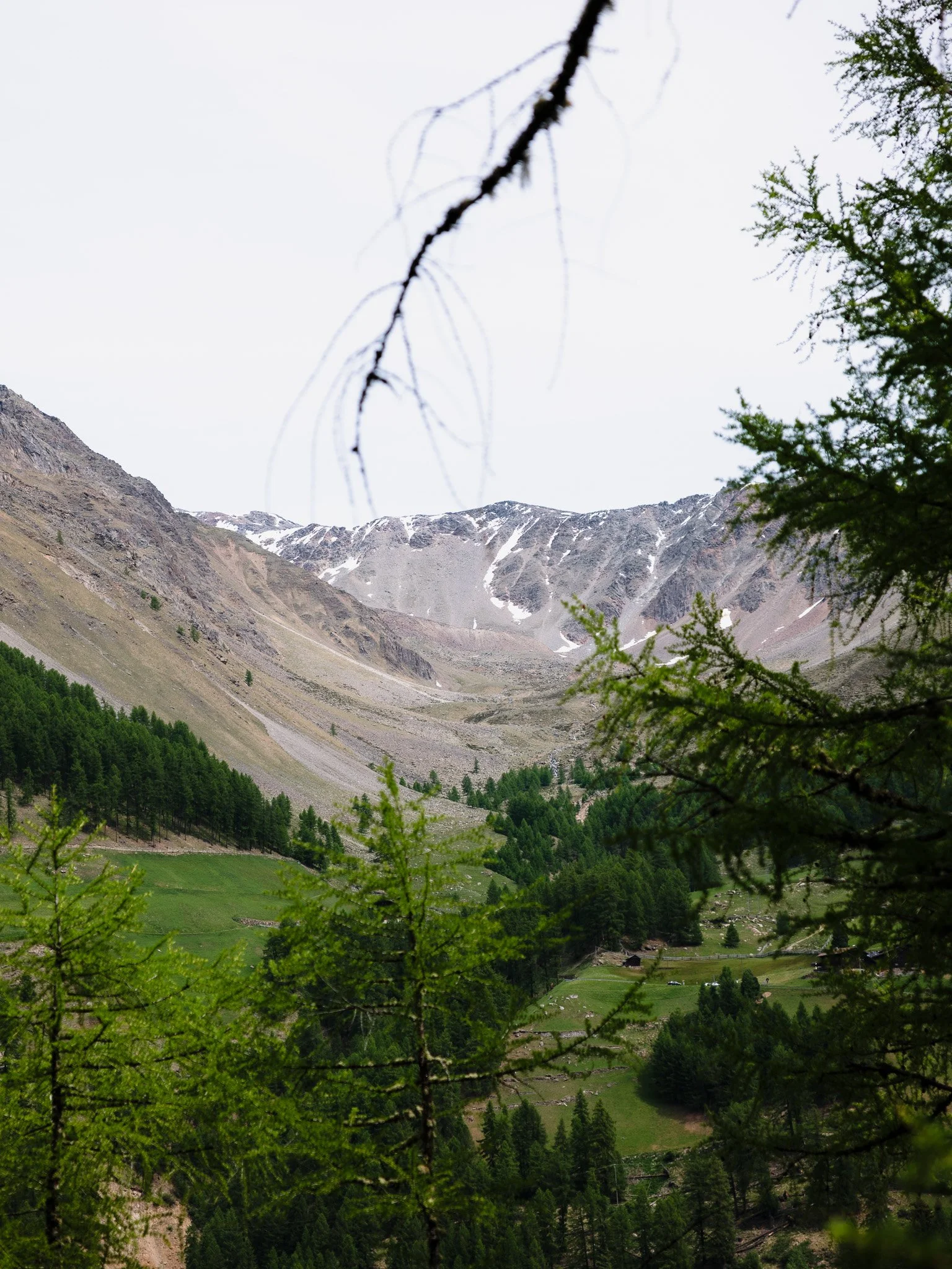 L1000941.jpg