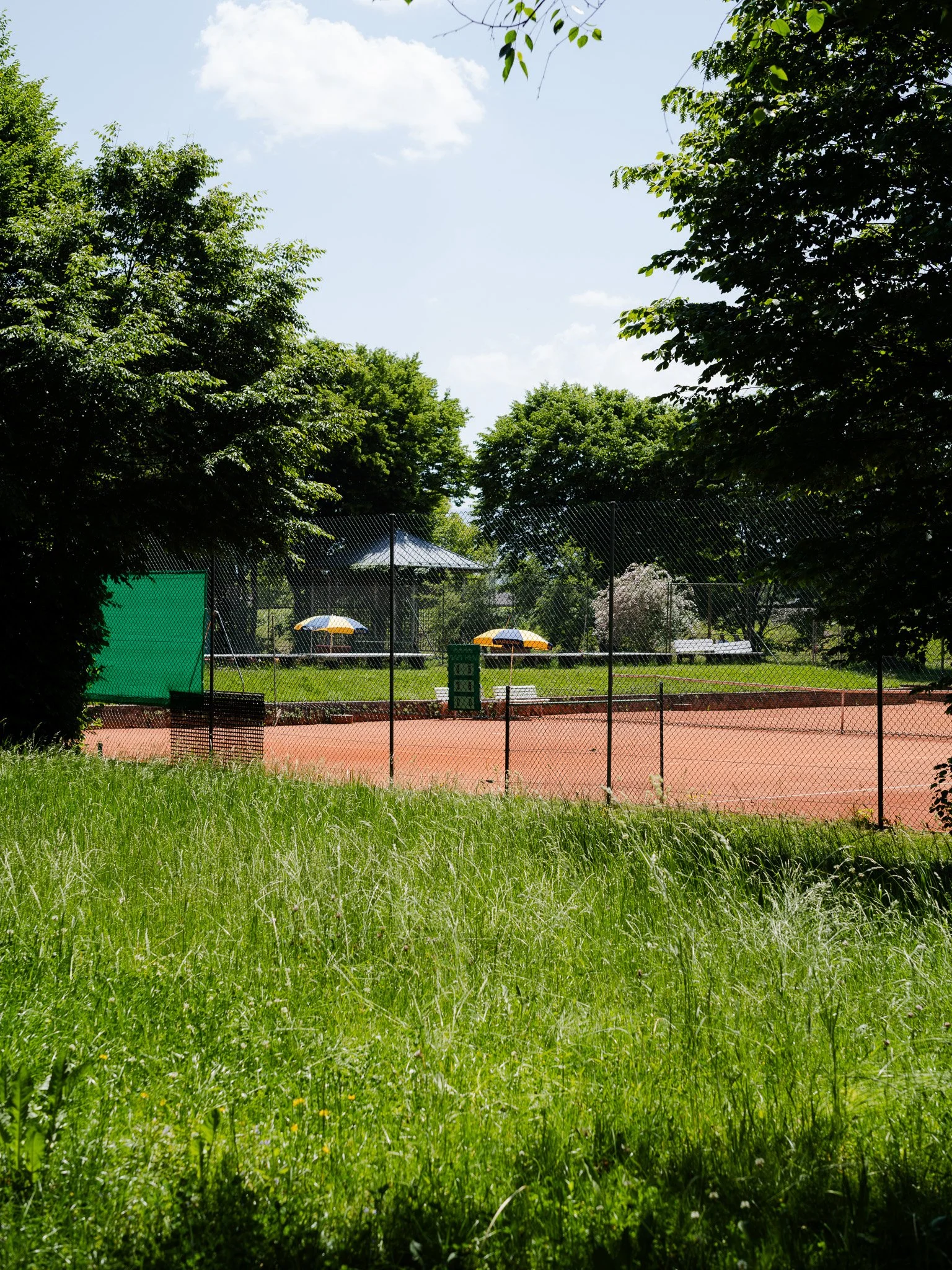 M1000778.jpg