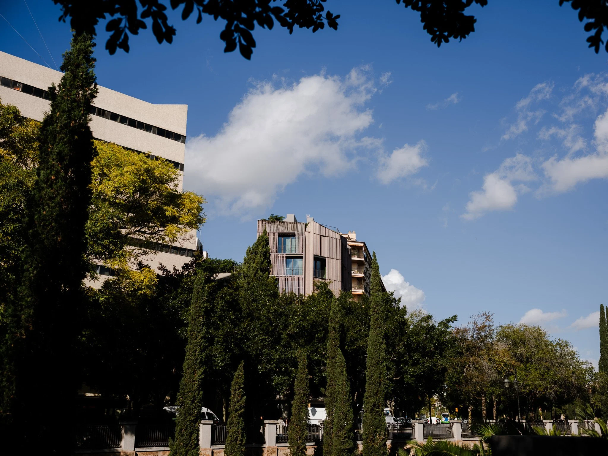 L1008973.jpg
