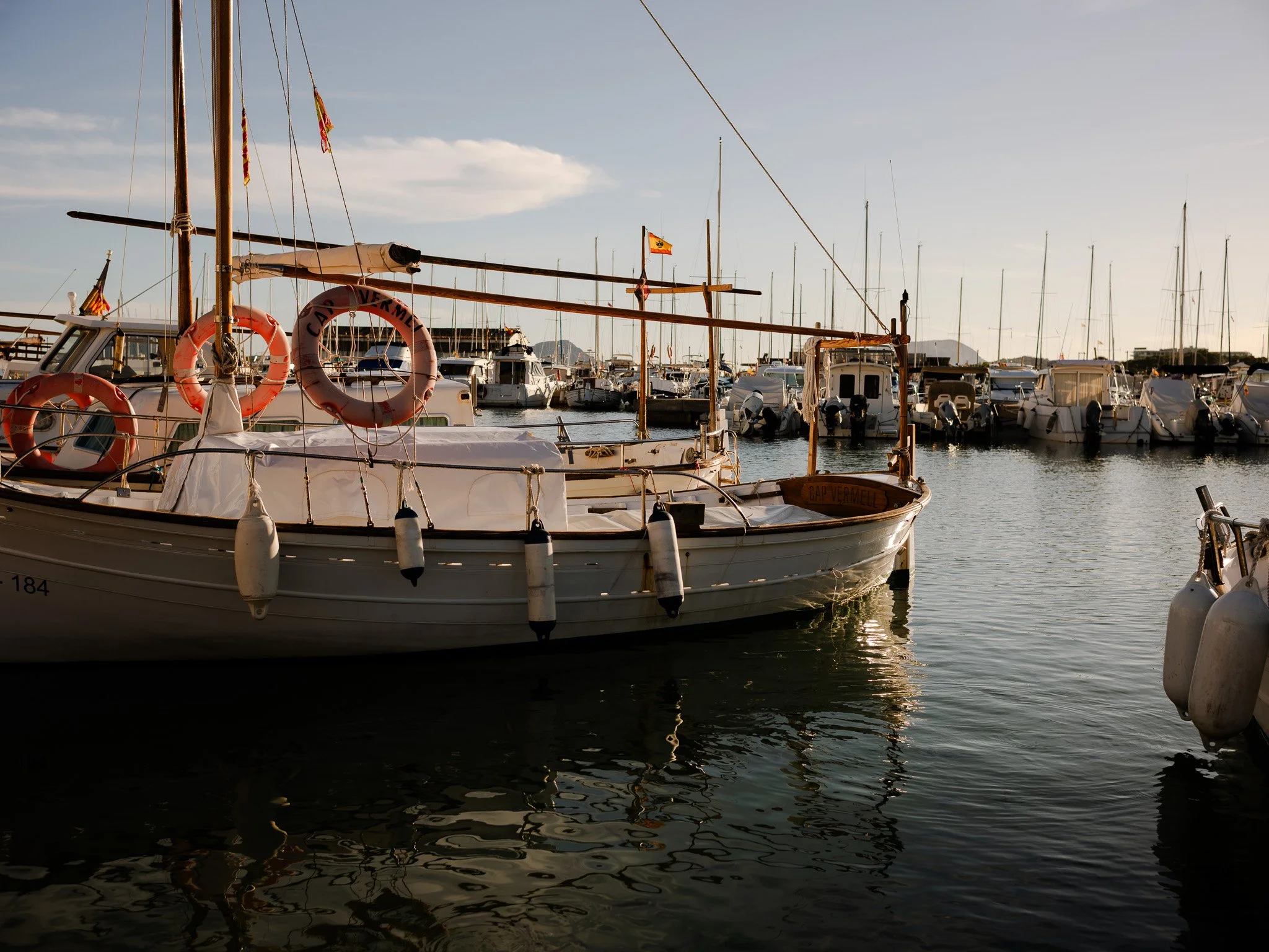 L1008918.jpg