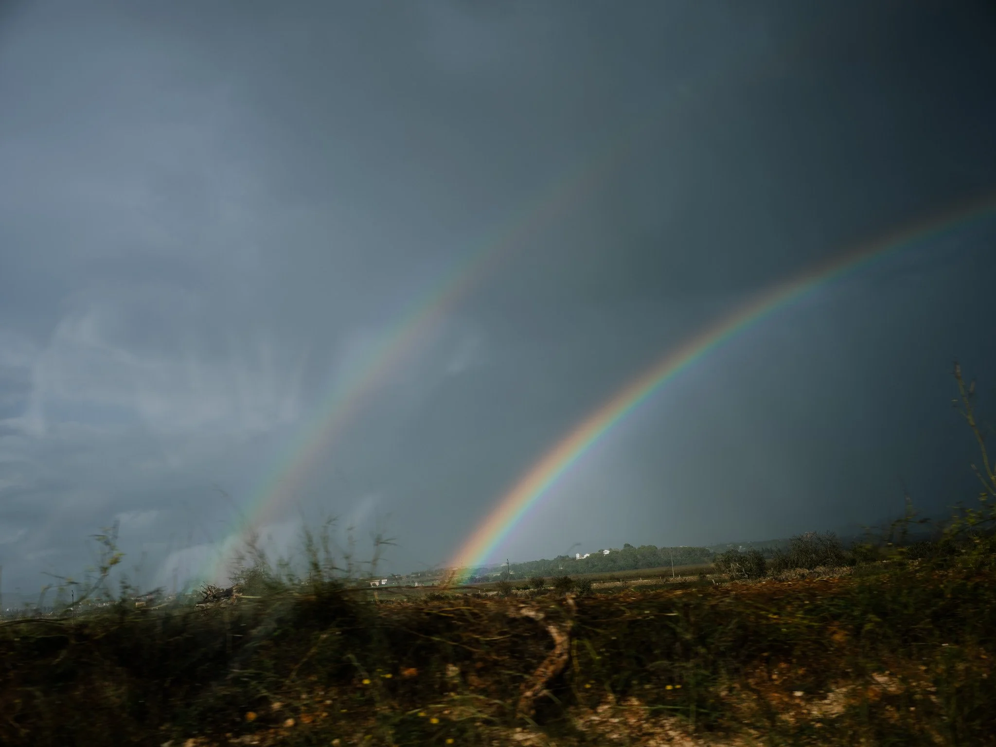 L1008797.jpg